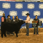 Gut-Pro For Livestock