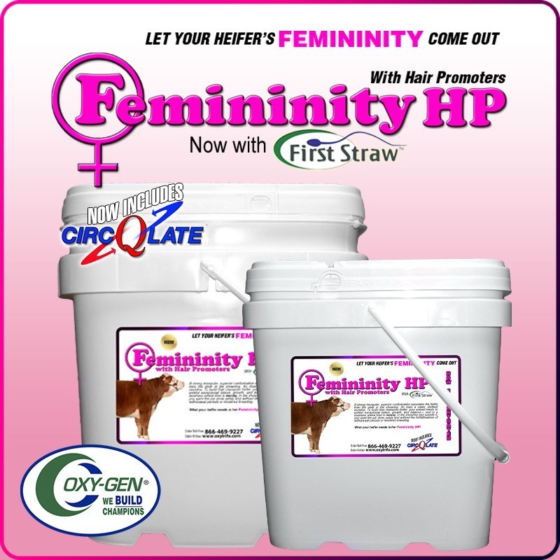 Femininity HP
