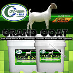 Grand Goat