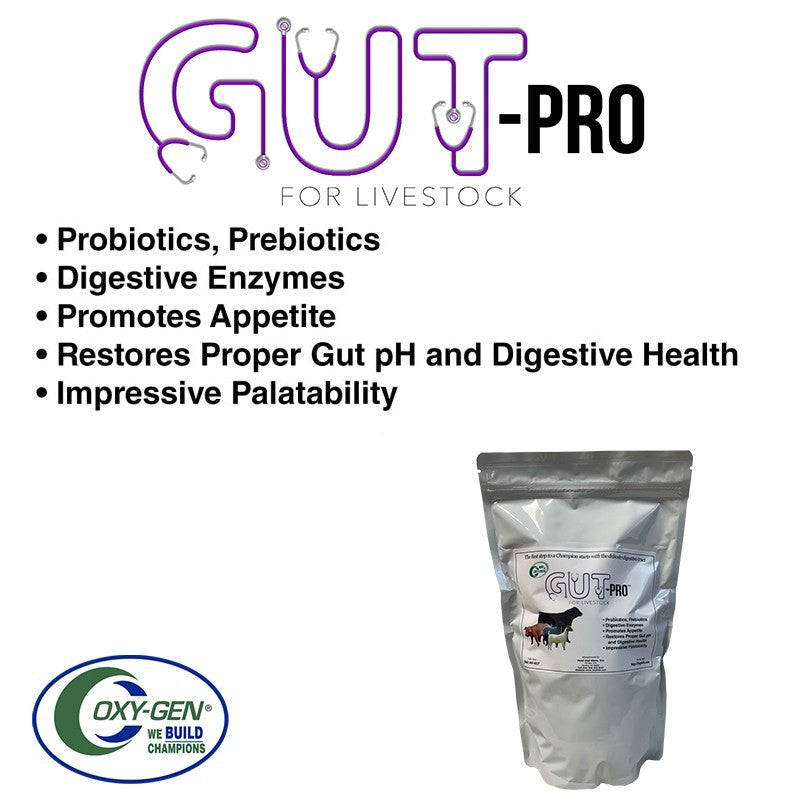 Gut-Pro For Livestock