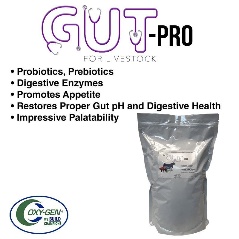Gut-Pro For Livestock