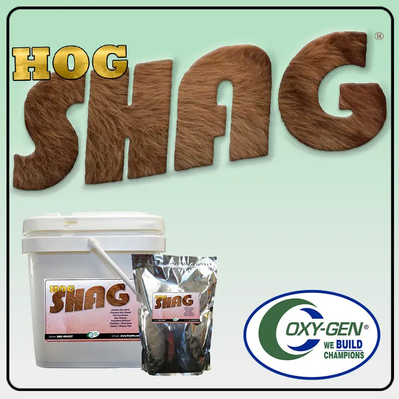 Hog SHAG