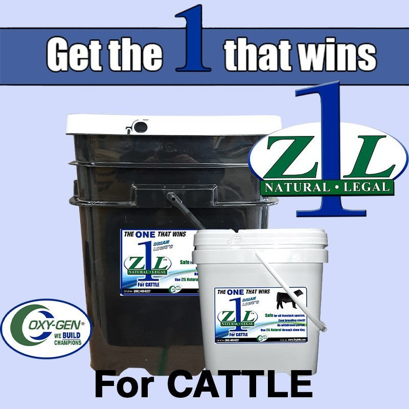 Z1L Cattle