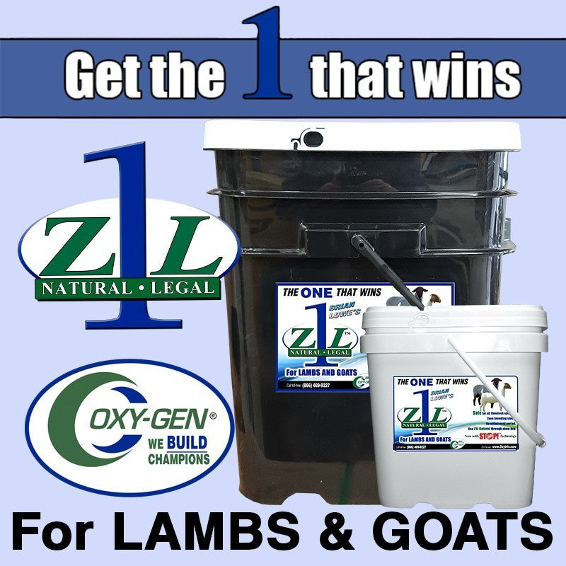 Z1L Lambs/Goats