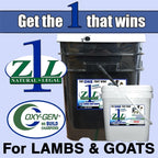 Z1L Lambs/Goats